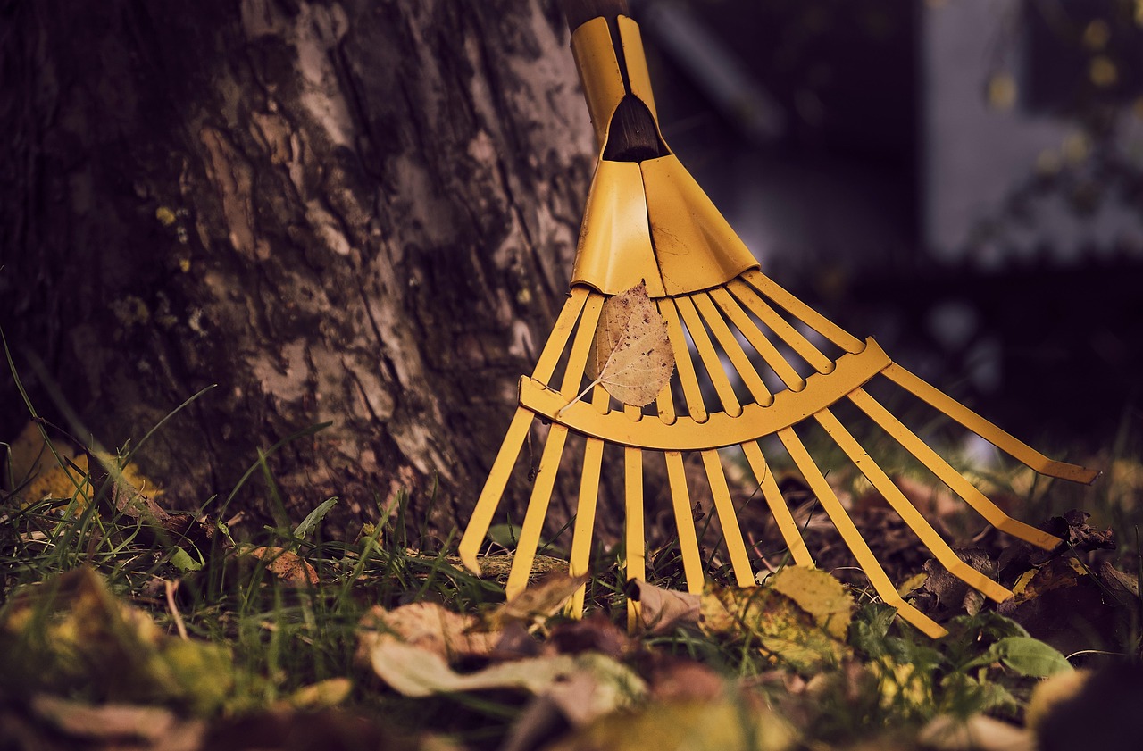 Garden Cleaning
